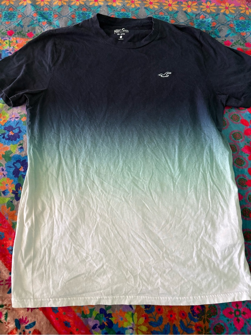 Hollister Men’s Ombre Blue to White Crew Tee with Logo